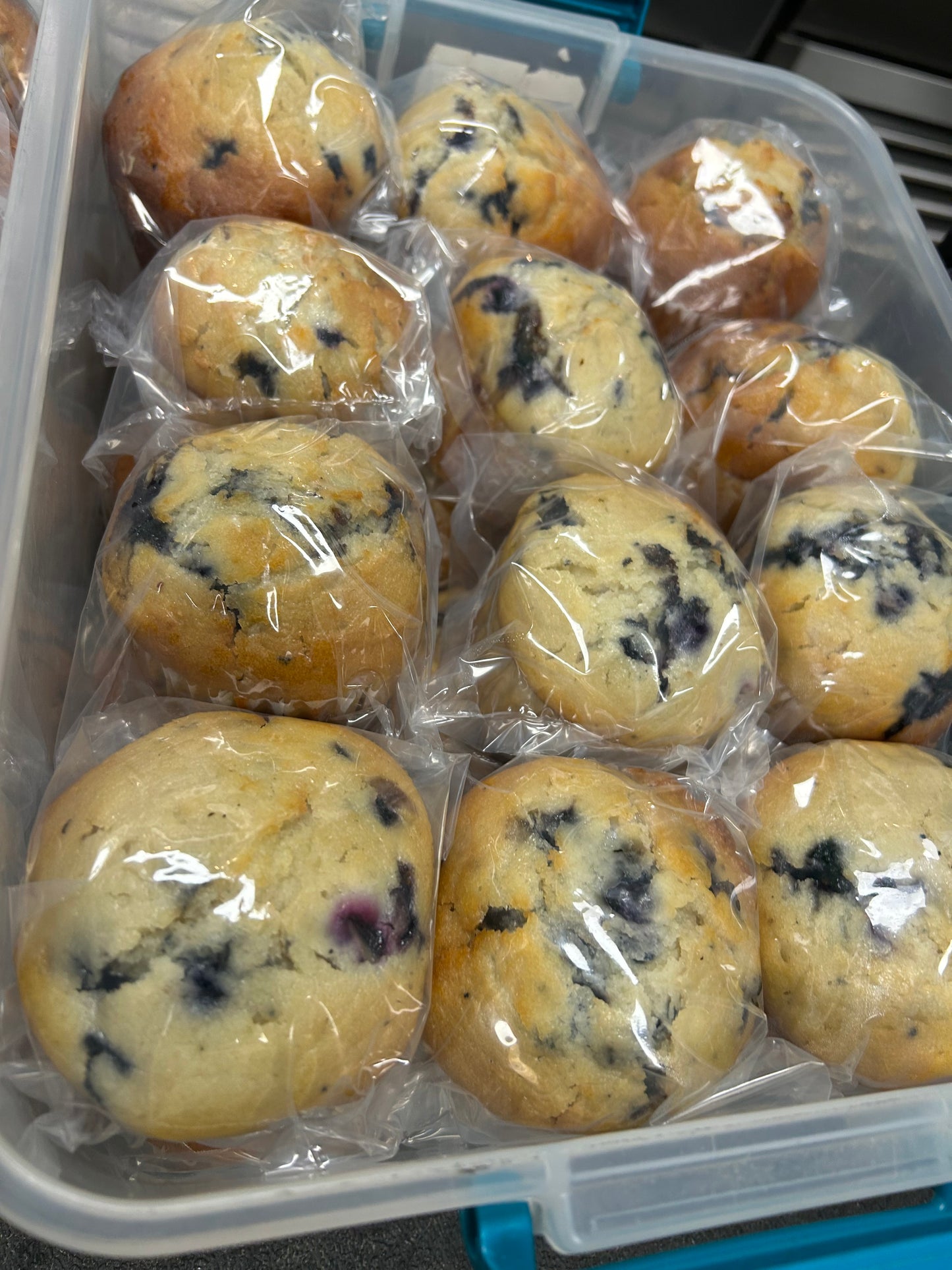 Blueberry Muffins