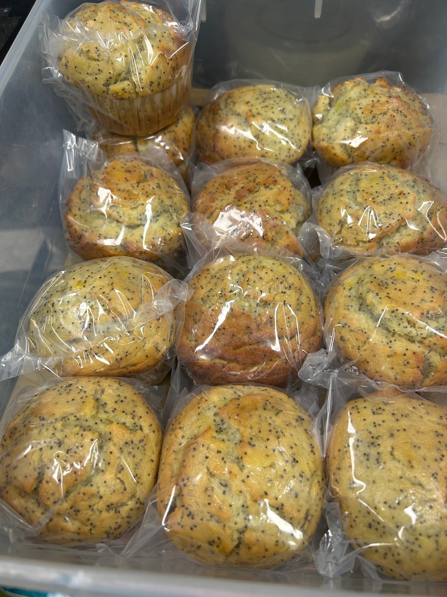 Lemon Poppy Muffins