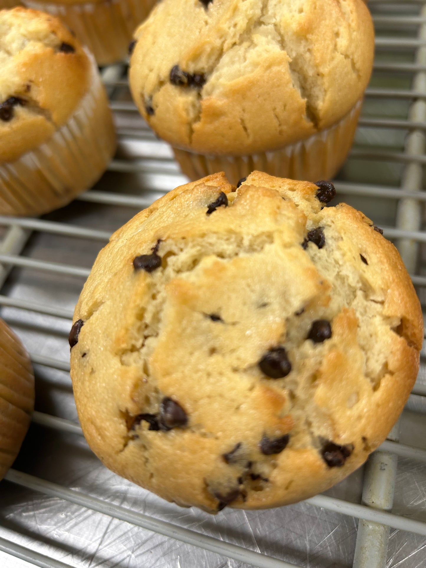 Chocolate Chip Muffins