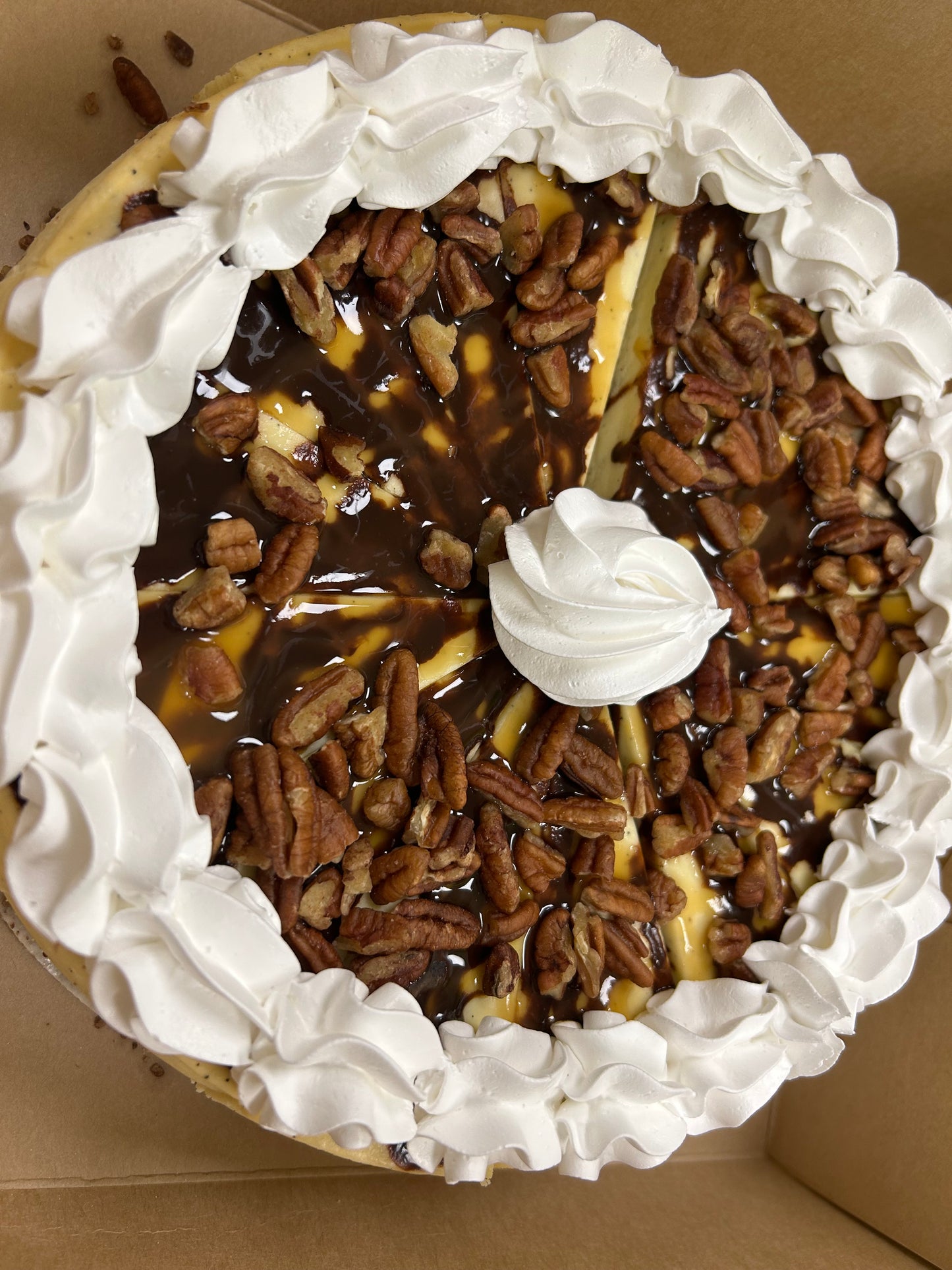whole cheesecake(Turtle)